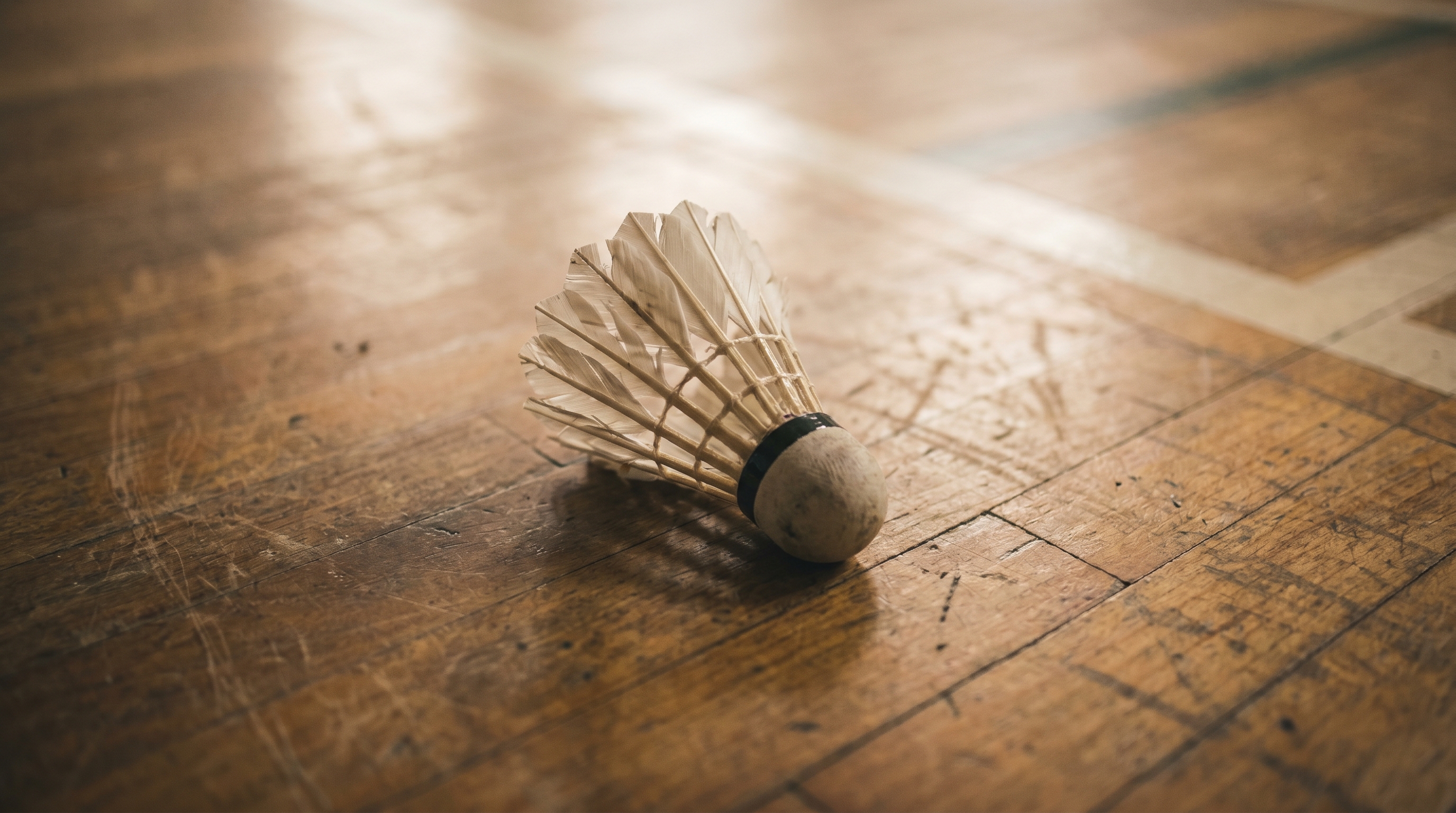Badminton shuttlecock resting on wooden court floor