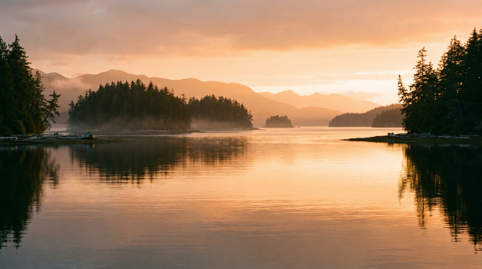 Wide photographic view of a calm Pacific Northwest channel at golden hour with forested islands and distant coastal mountains, no boats with logos, no signage, no people